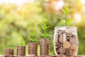 Eco-Investing for Sustainable Wealth