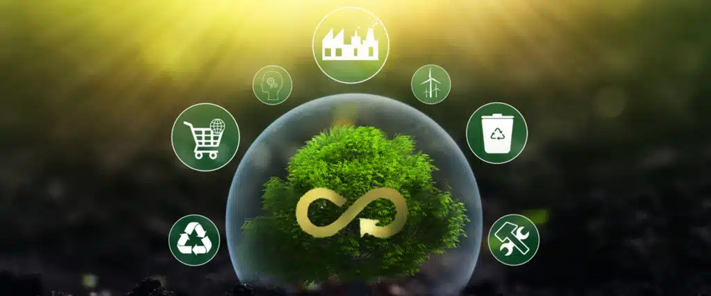 Transforming Sustainability with Circular Economy