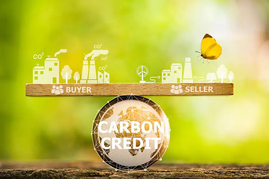 Thriving with Carbon Credit Trading