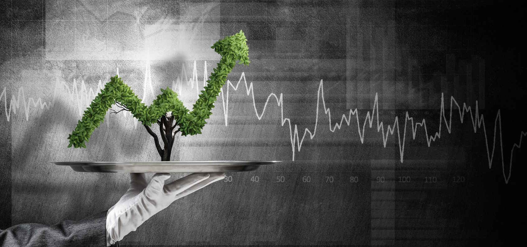 Impact Investing: Maximize Returns & Impact