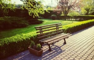 AI-Powered App for Efficient Garden Planning