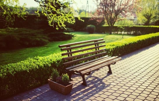 AI-Powered App for Efficient Garden Planning