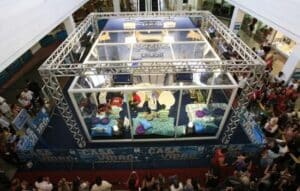 App to Watch BBB 2026 Live Streaming